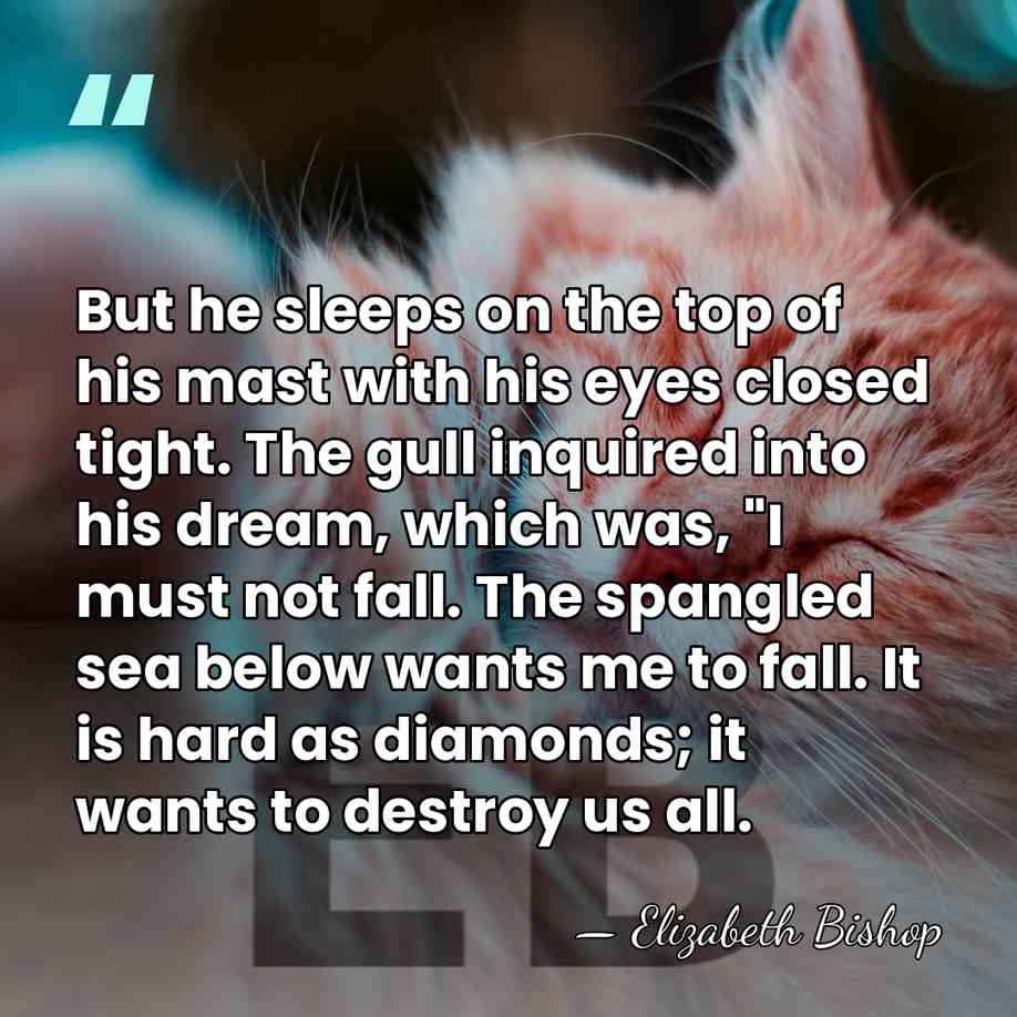 But he sleeps on the top of his mast with his eyes&hellip; - Elizabeth Bishop