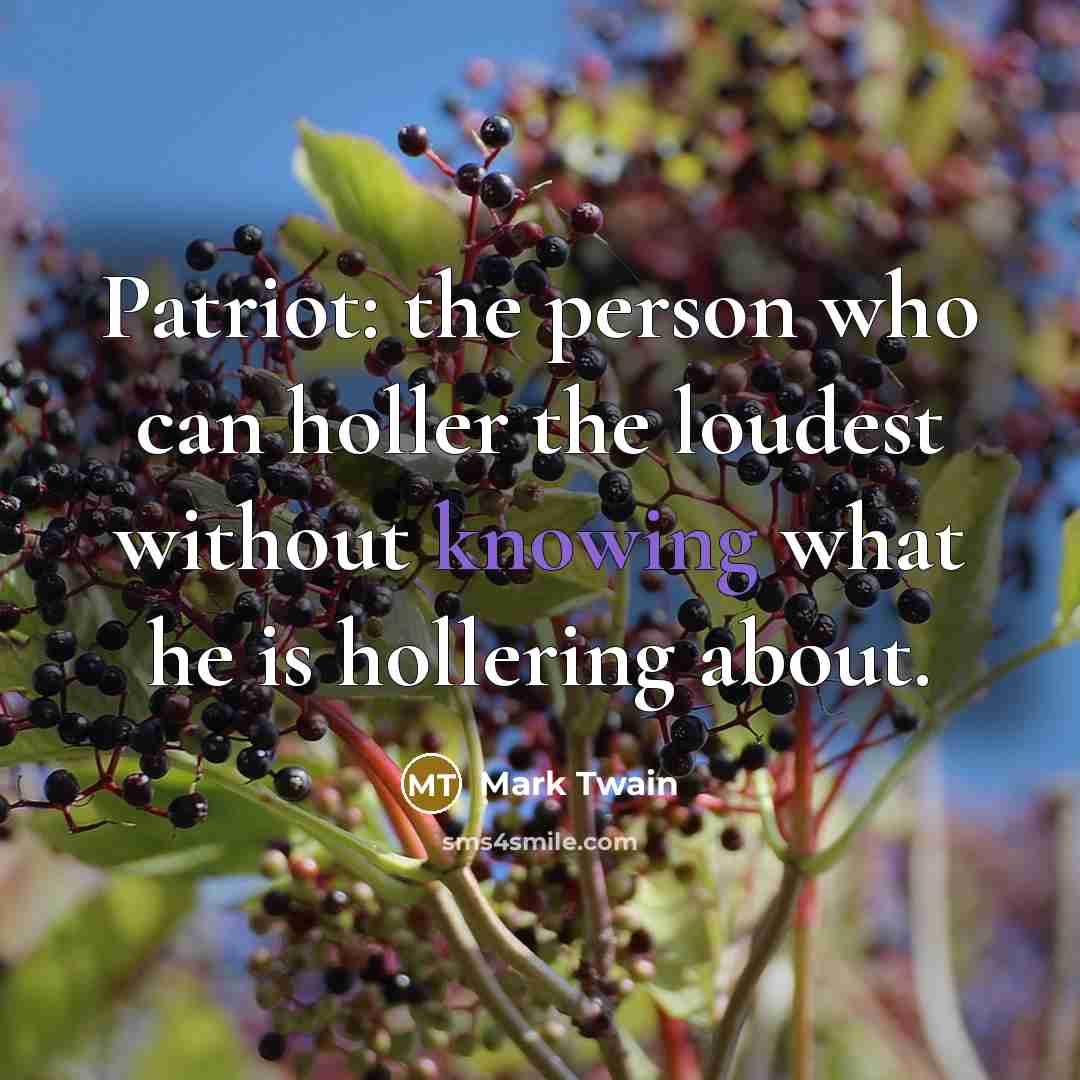 “Patriot: the person who can holler the loudest without knowing…” quote by Mark Twain