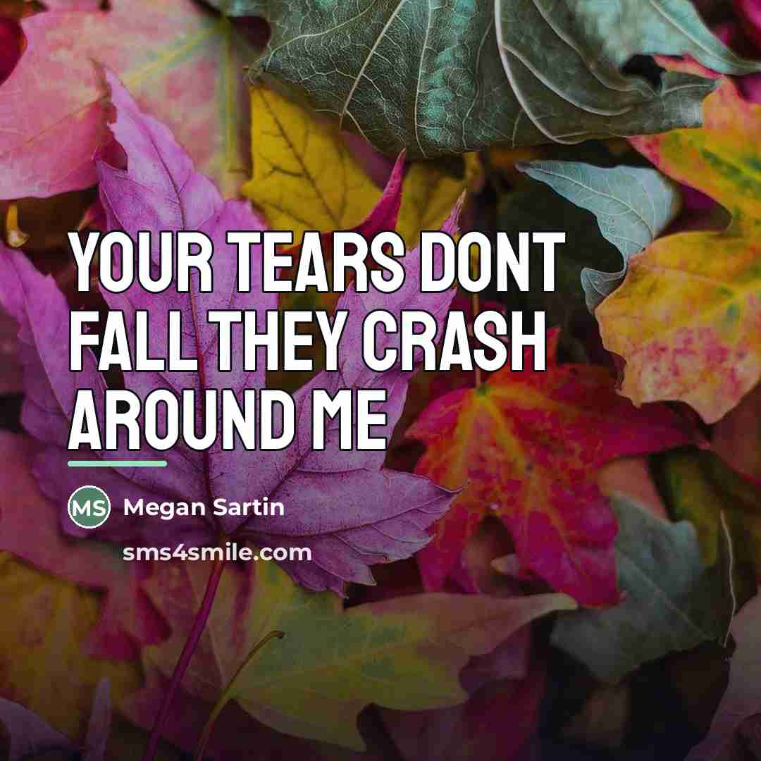 “Your tears dont fall they crash around me…” quote by Megan Sartin