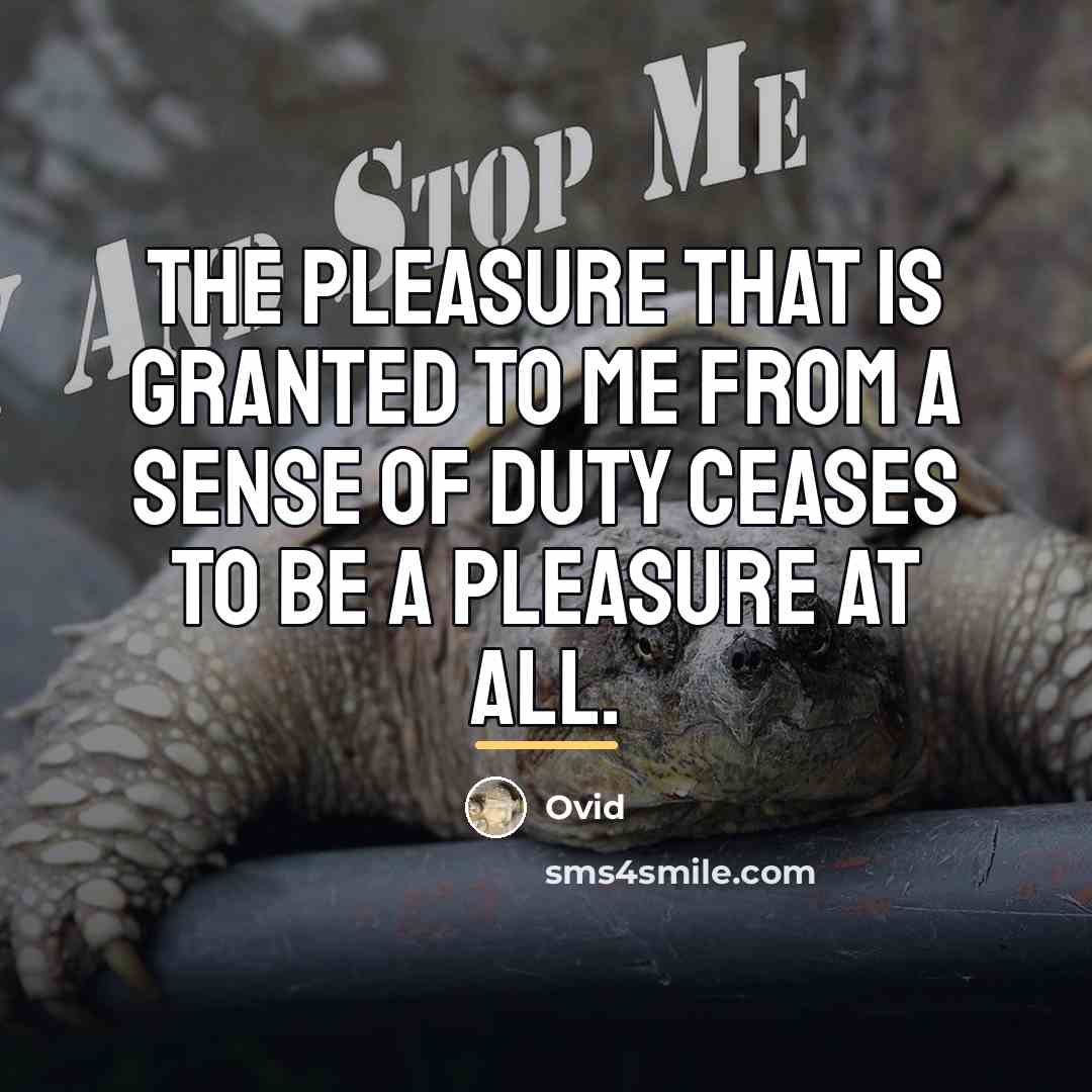 “The pleasure that is granted to me from a sense…” quote by Ovid