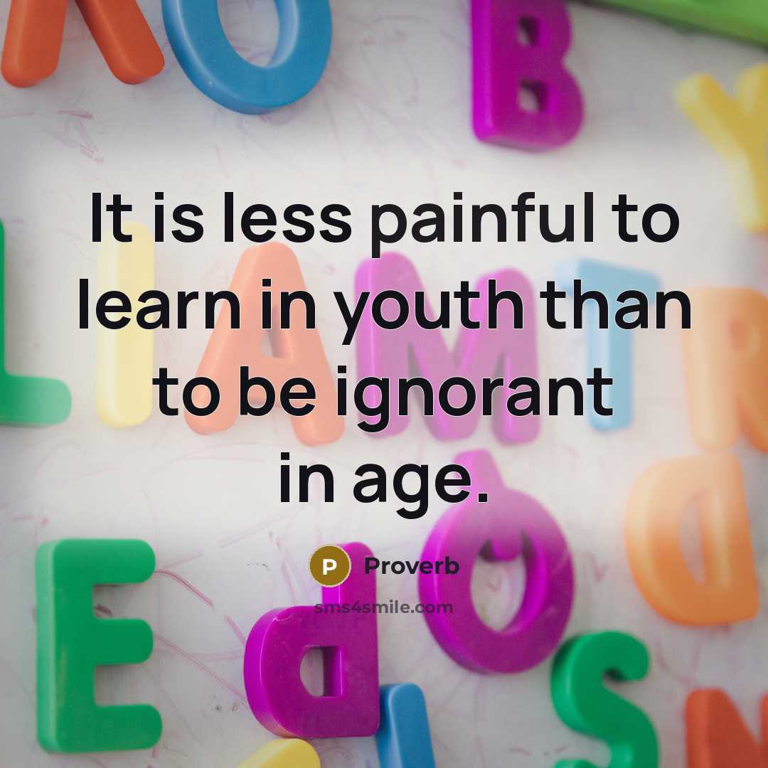 “It is less painful to learn in youth than to…” quote by Proverb