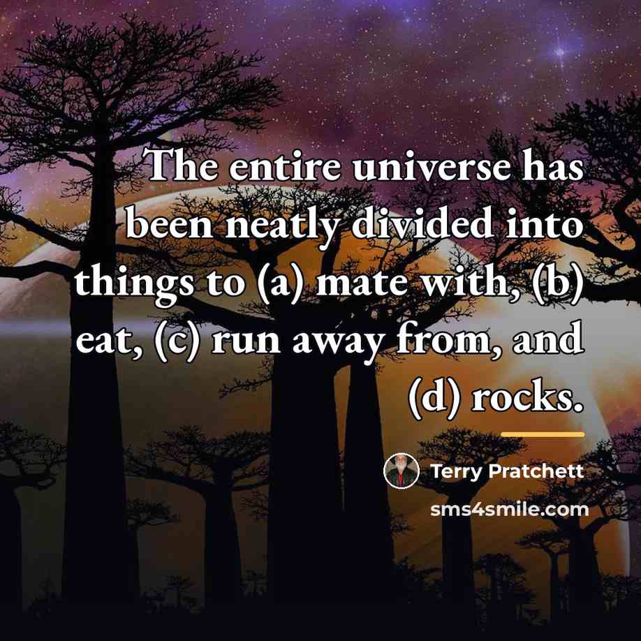 “The entire universe has been neatly divided into things to…” quote by Terry Pratchett