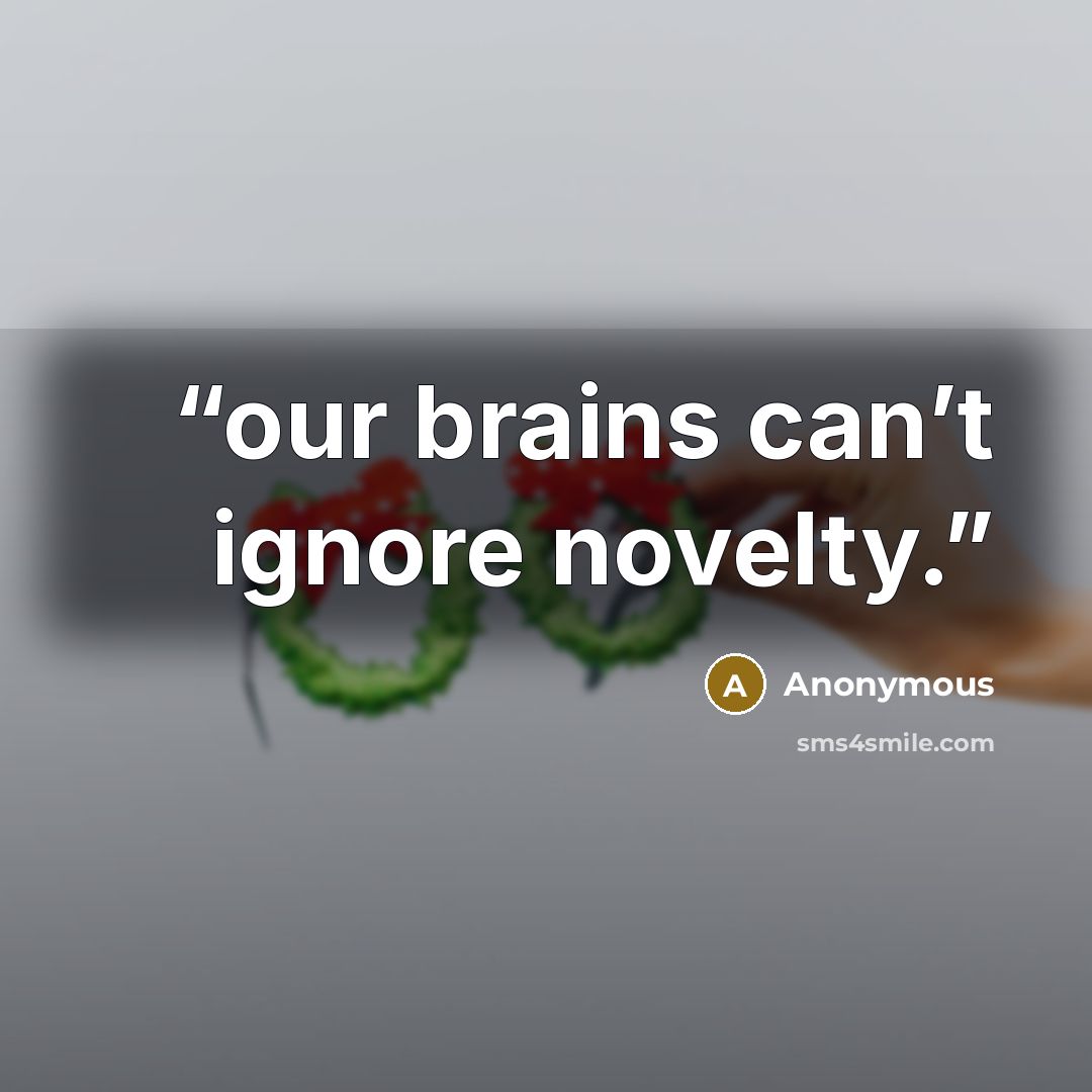 “our brains can’t ignore novelty.” quote by Anonymous