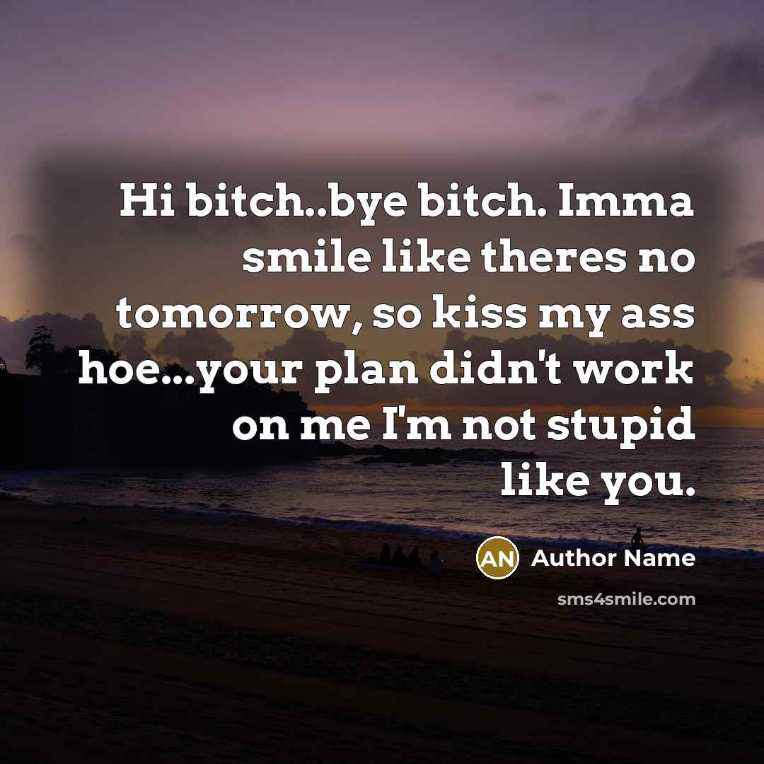 “Hi bitch..bye bitch. Imma smile like theres no tomorrow, so…” quote by Author Name