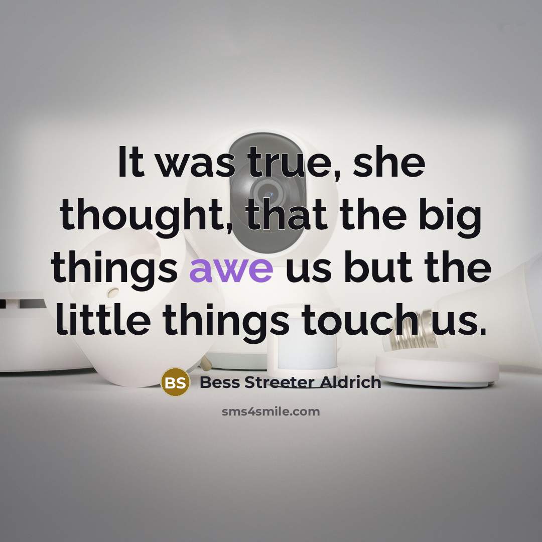“It was true, she thought, that the big things awe…” quote by Bess Streeter Aldrich