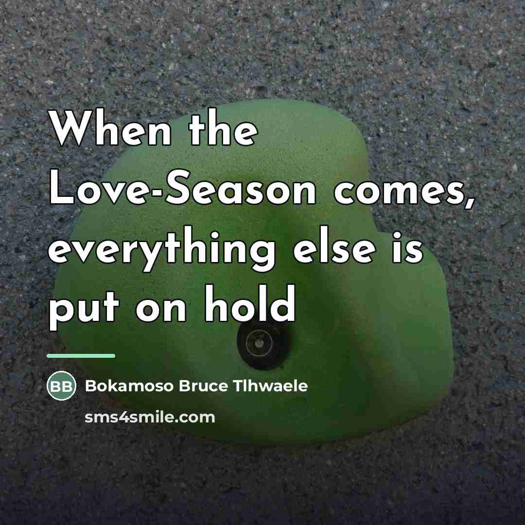 “When the Love-Season comes, everything else is put on hold…” quote by Bokamoso Bruce Tlhwaele