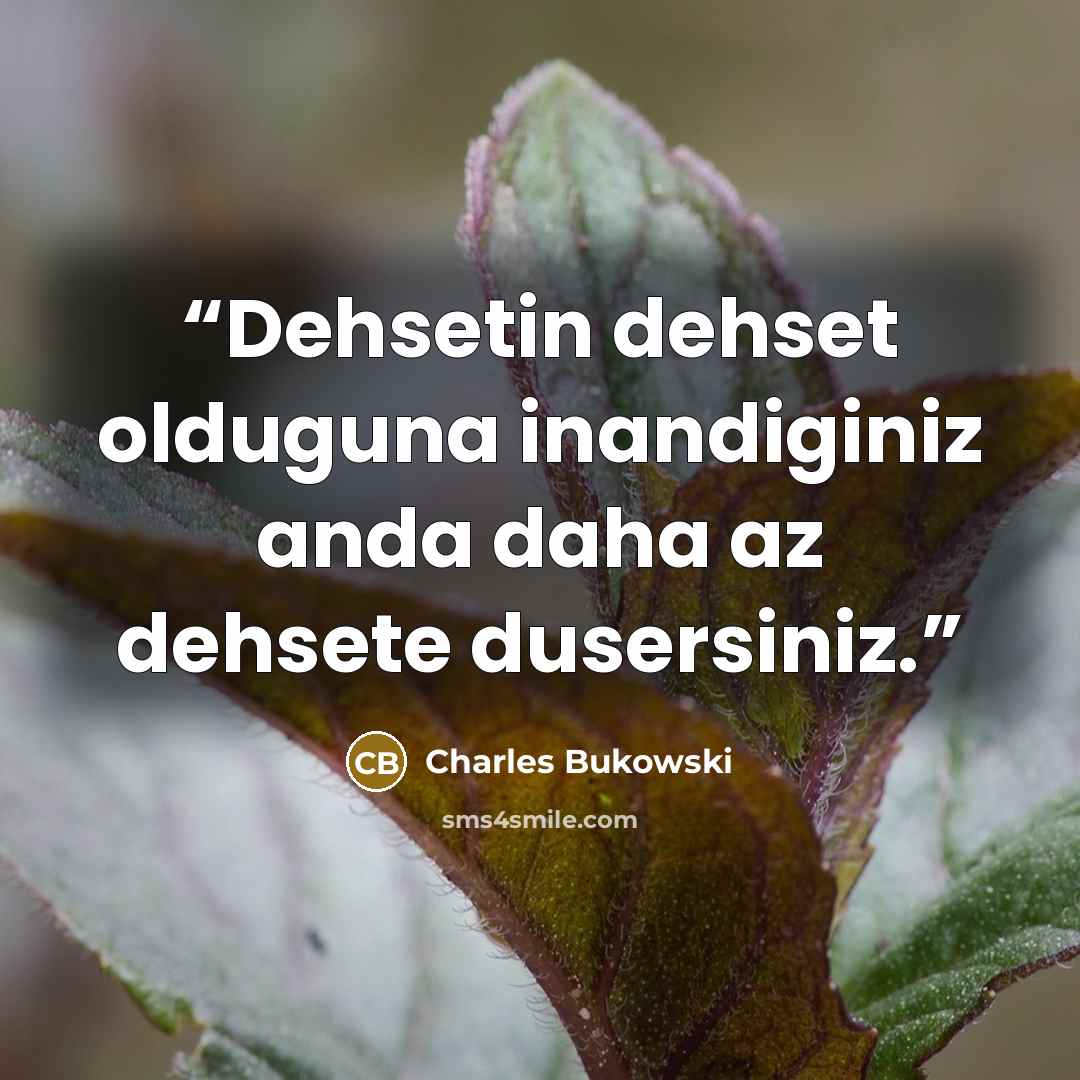 “Dehsetin dehset olduguna inandiginiz anda daha az dehsete dusersiniz.” quote by Charles Bukowski