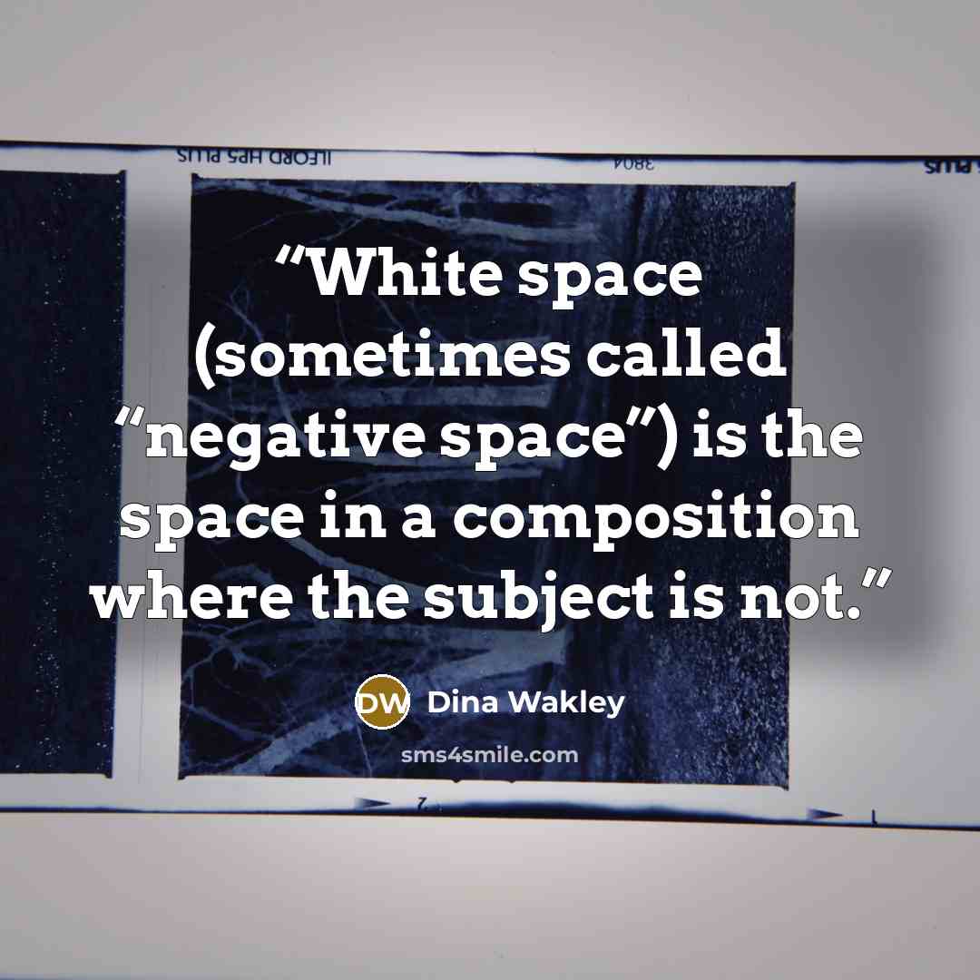 “White space (sometimes called “negative space”) is the space in a composition where the subject is not.” quote by Dina Wakley