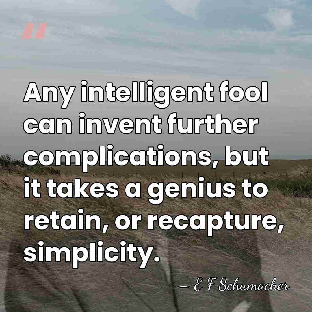 Any intelligent fool can invent further complications, but it takes a genius&hellip; - E F Schumacher