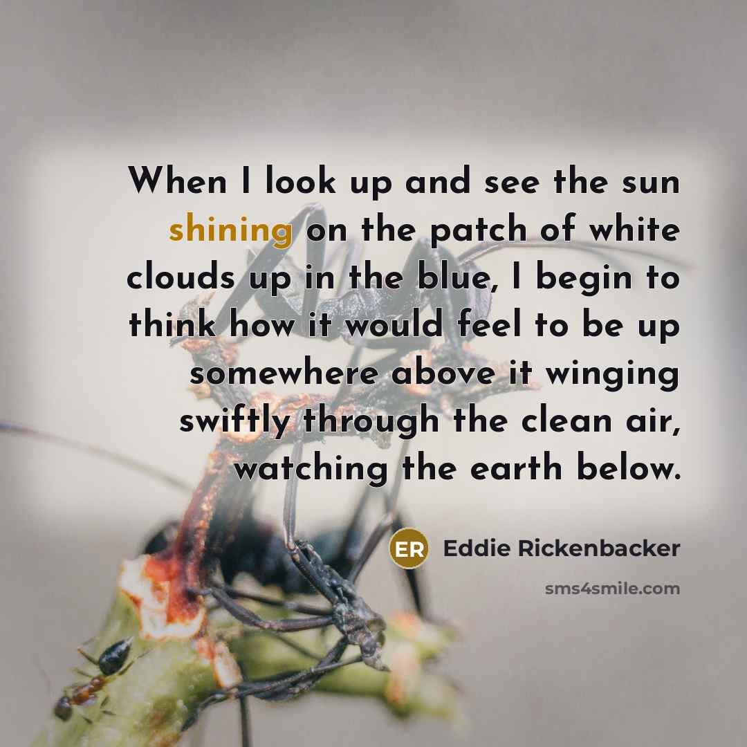 “When I look up and see the sun shining on…” quote by Eddie Rickenbacker