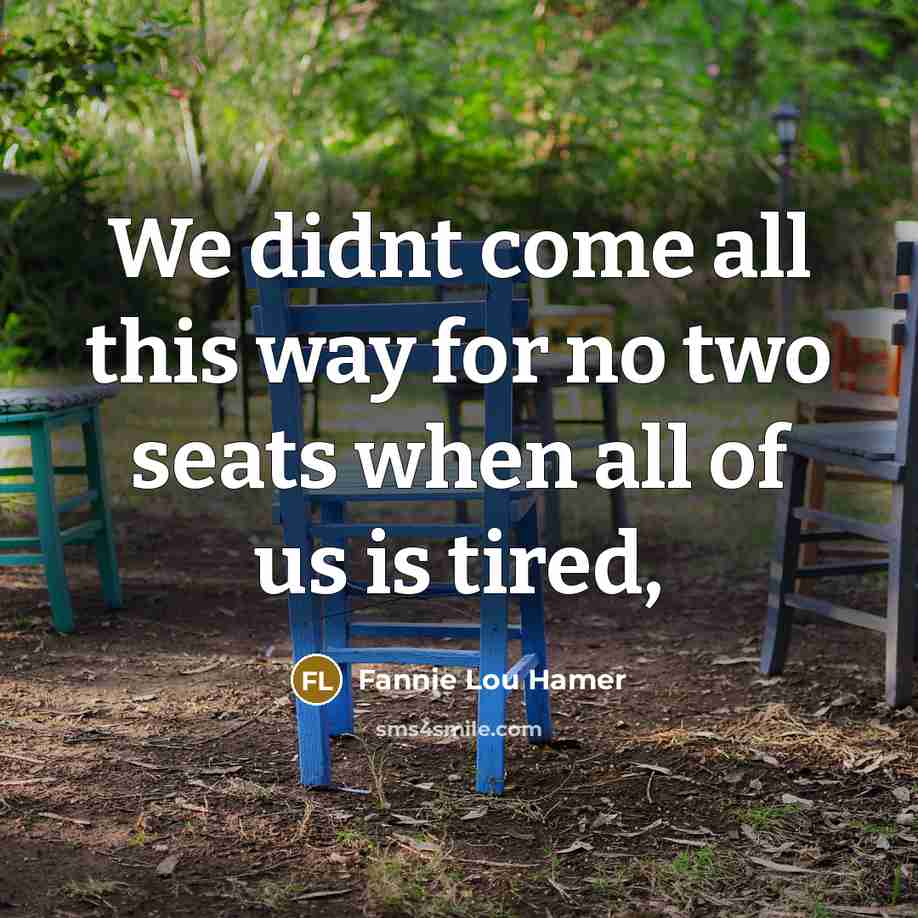 “We didnt come all this way for no two seats…” quote by Fannie Lou Hamer