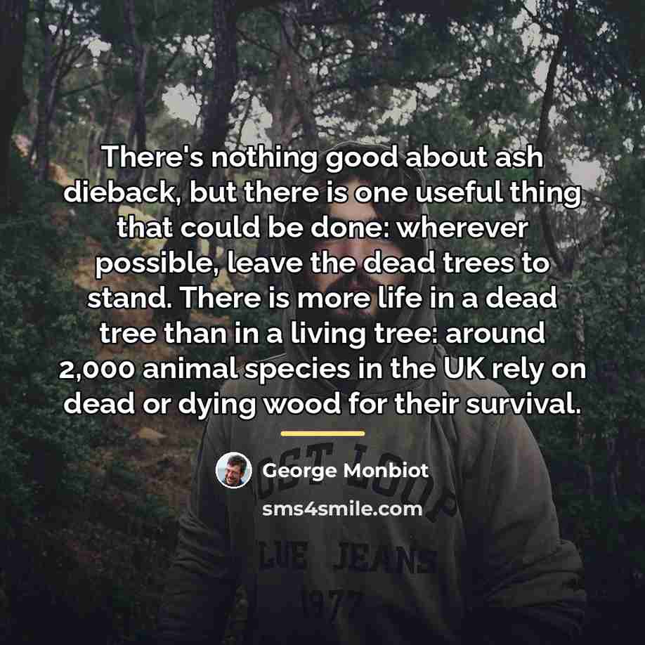 “There's nothing good about ash dieback, but there is one…” quote by George Monbiot