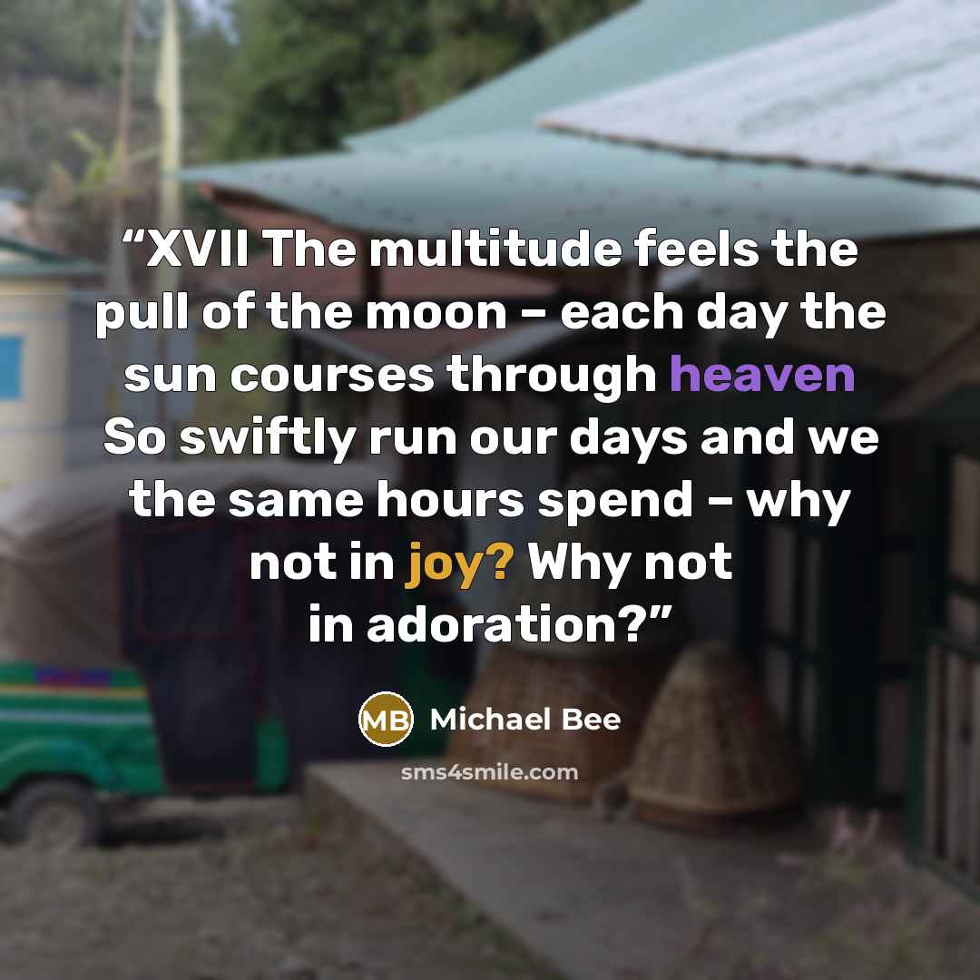 “XVII The multitude feels the pull of the moon – each day the sun courses through heaven So swiftly run our days and we the same hours spend – why not in joy? Why not in adoration?” quote by Michael Bee