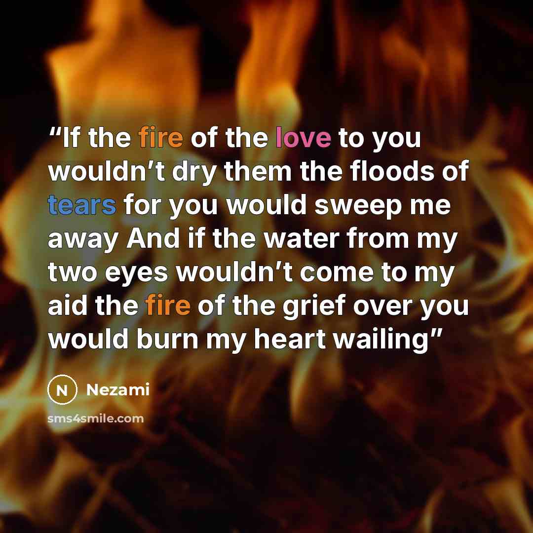 “If the fire of the love to you wouldn’t dry them the floods of tears for you would sweep me away And if the water from my two eyes wouldn’t come to my aid the fire of the grief over you would burn my heart wailing” quote by Nezami