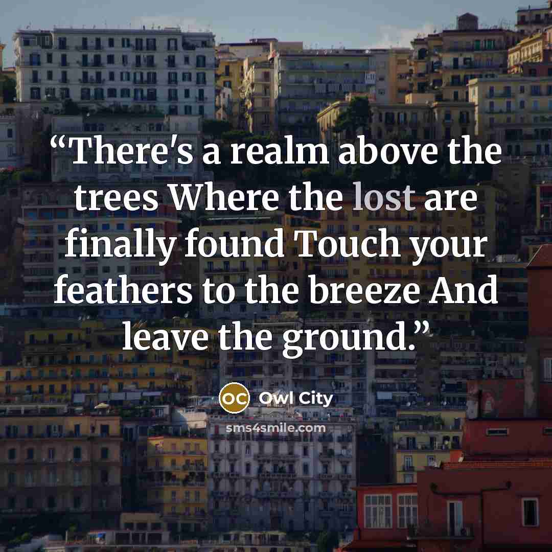 “There's a realm above the trees Where the lost are finally found Touch your feathers to the breeze And leave the ground.” quote by Owl City