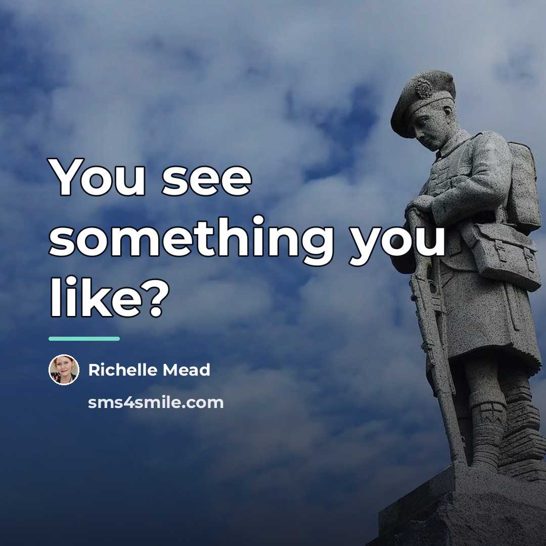 “You see something you like?…” quote by Richelle Mead