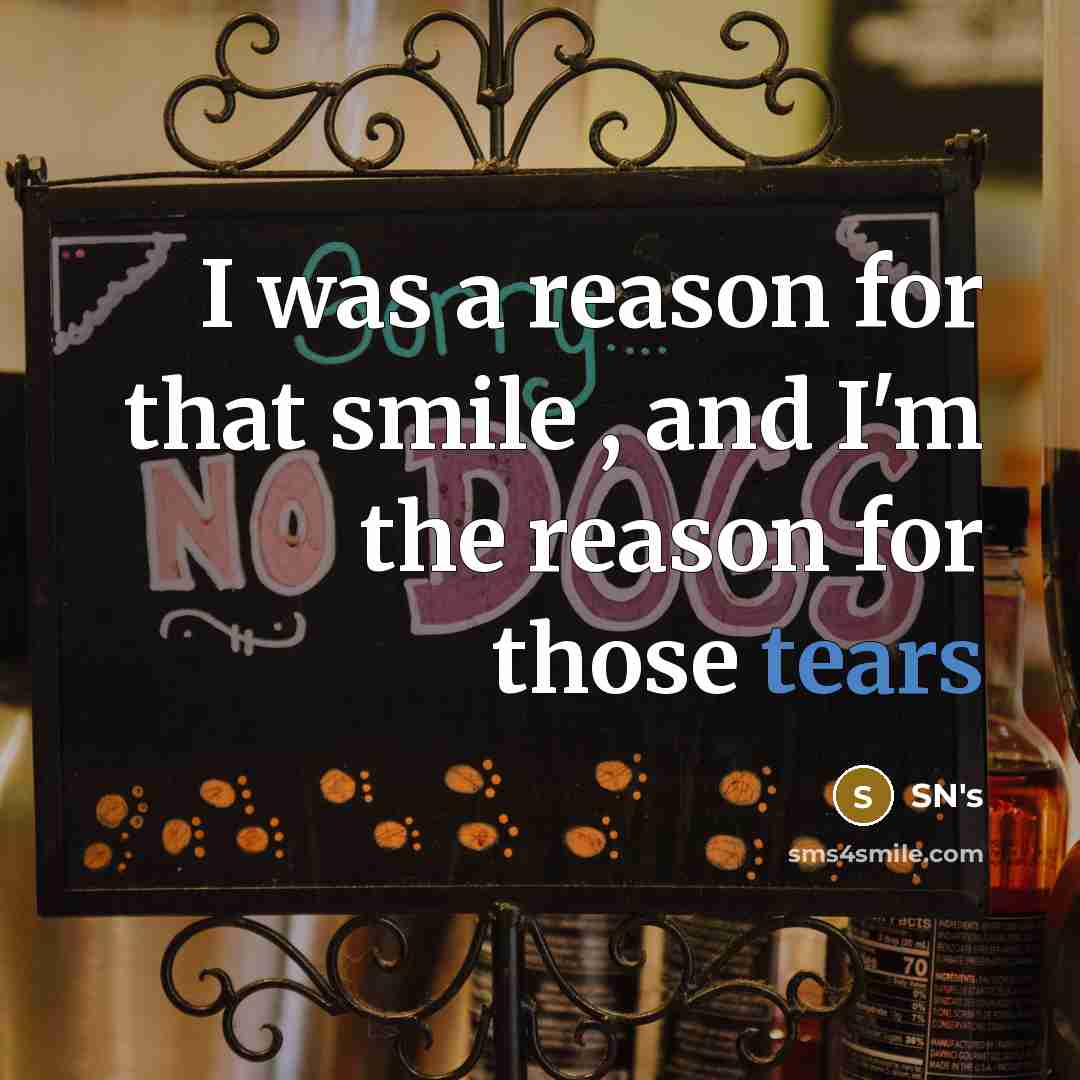 “I was a reason for that smile , and I'm…” quote by SN's