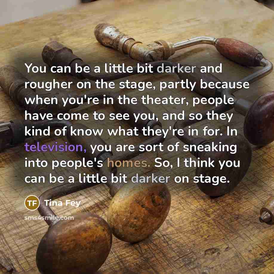 “You can be a little bit darker and rougher on…” quote by Tina Fey