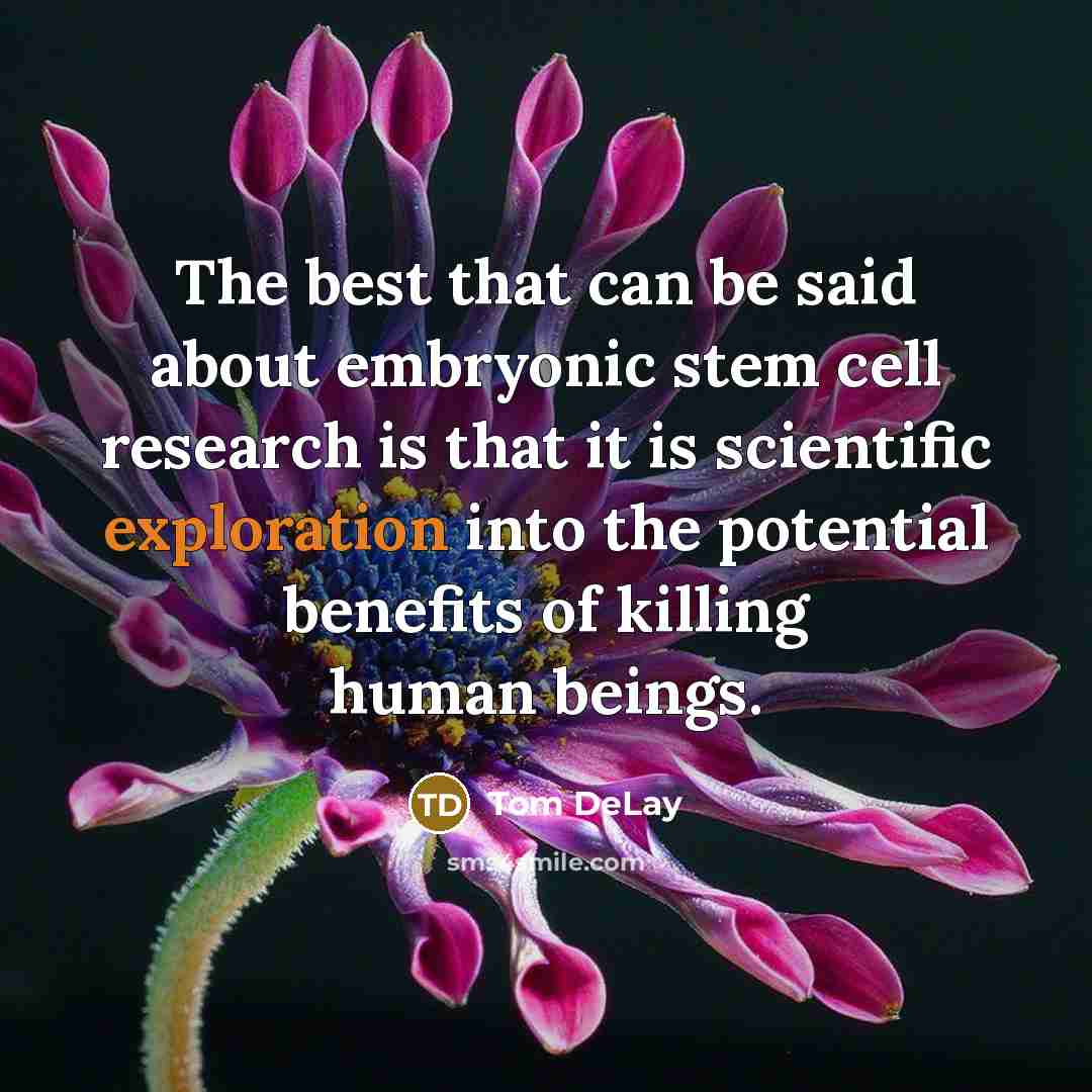 “The best that can be said about embryonic stem cell…” quote by Tom DeLay