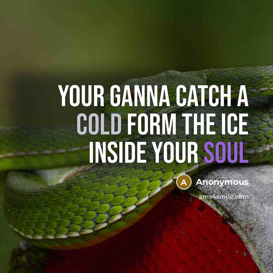 “Your ganna catch a cold form the ice inside your soul” quote by Anonymous