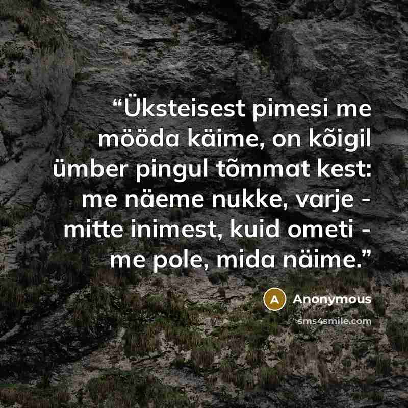 “Üksteisest pimesi me mööda käime, on kõigil ümber pingul tõmmat kest: me näeme nukke, varje - mitte inimest, kuid ometi - me pole, mida näime.” quote by Anonymous