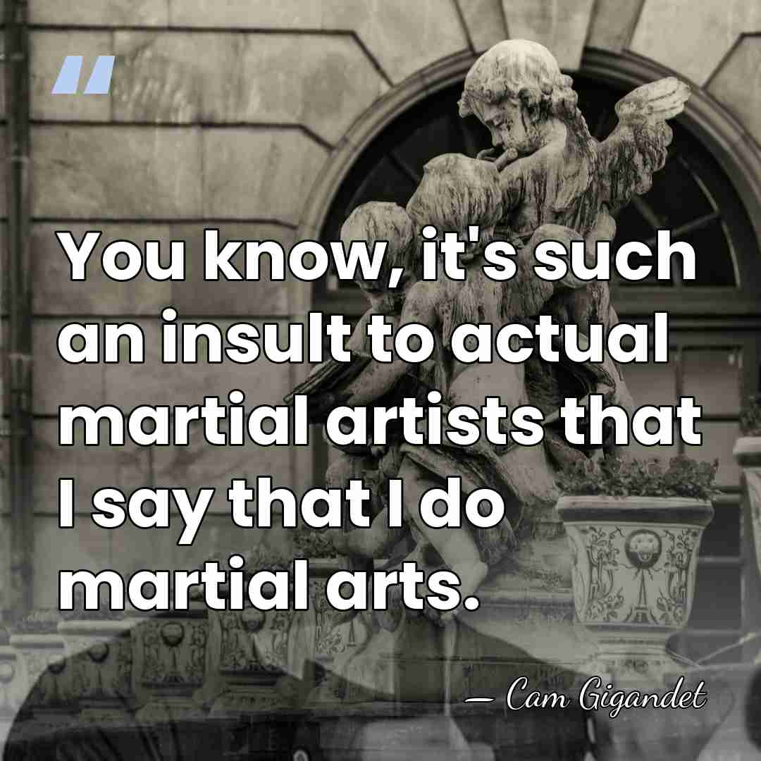 You know, it's such an insult to actual martial artists that I&hellip; - Cam Gigandet