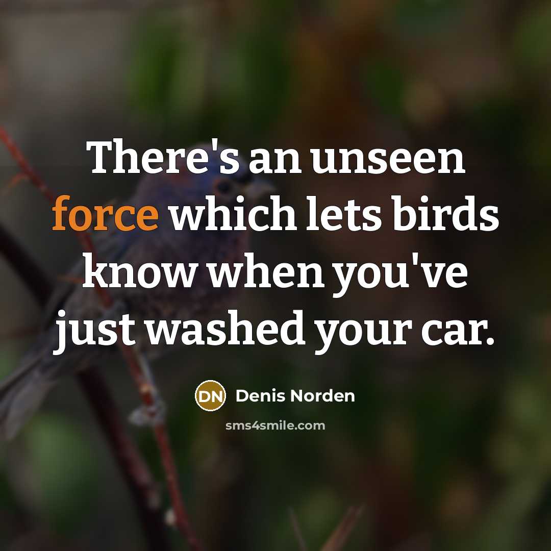 “There's an unseen force which lets birds know when you've…” quote by Denis Norden