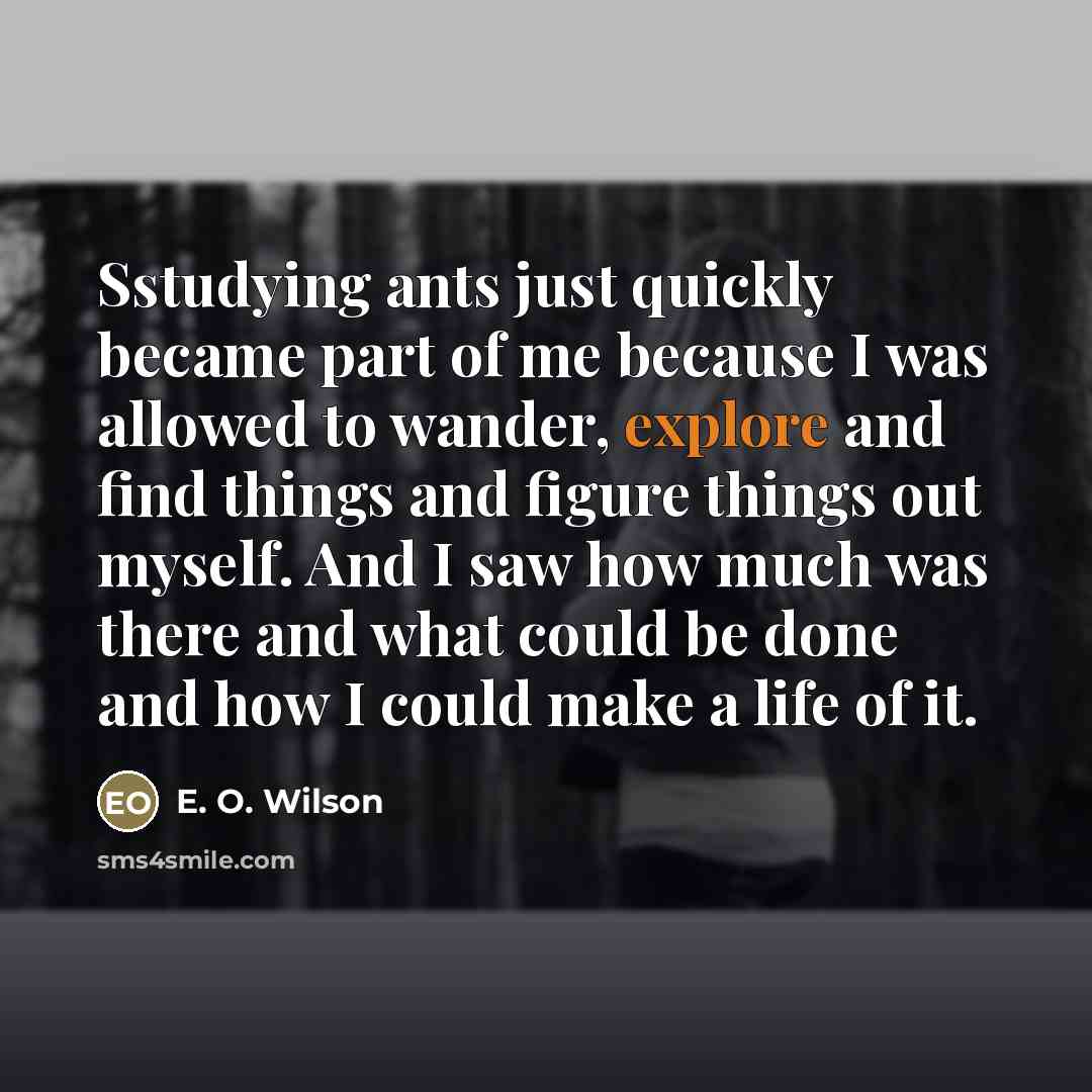 “Sstudying ants just quickly became part of me because I…” quote by E. O. Wilson