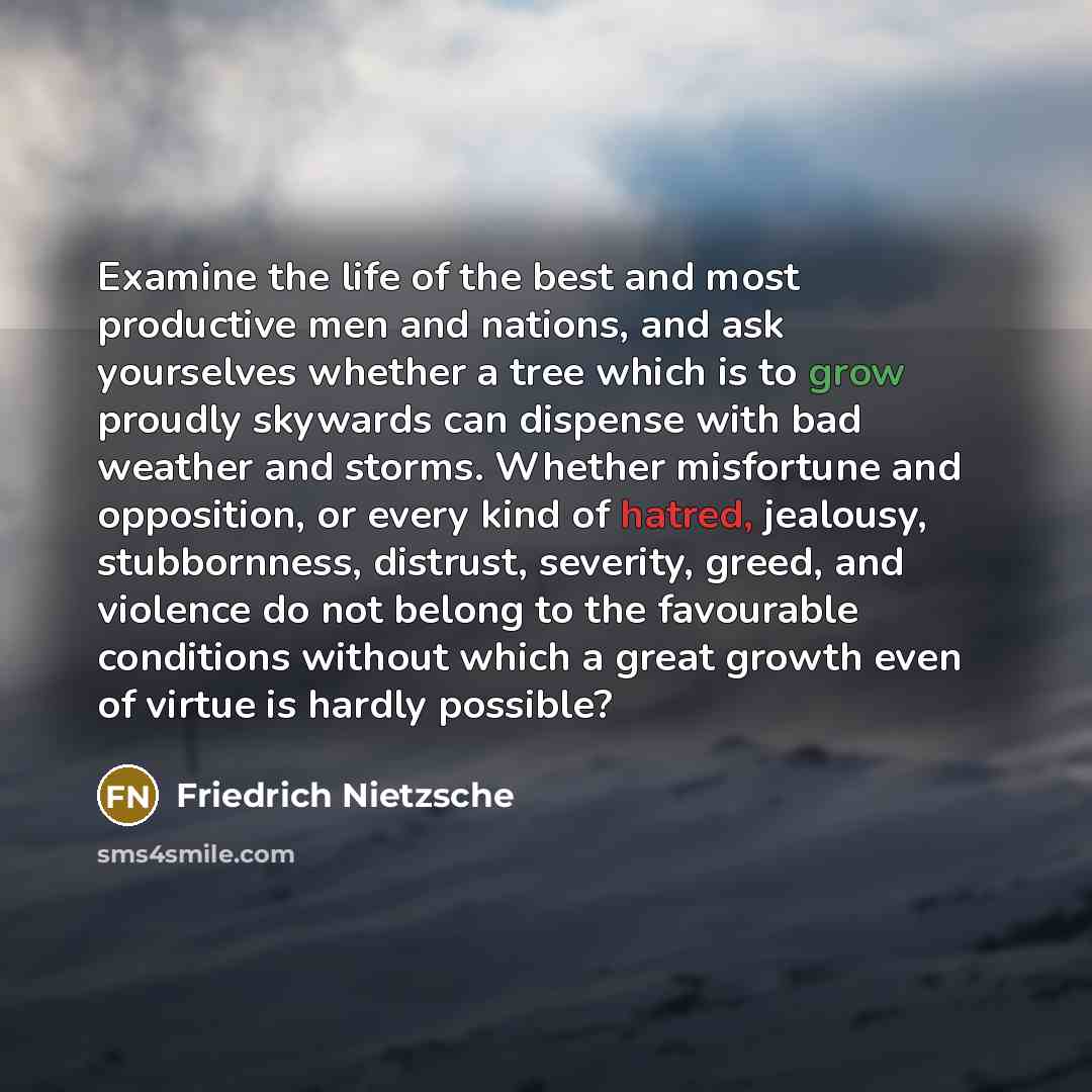 “Examine the life of the best and most productive men…” quote by Friedrich Nietzsche