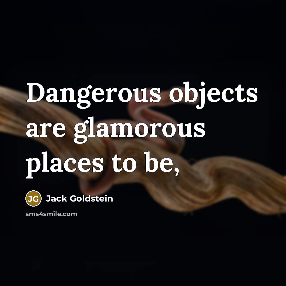 “Dangerous objects are glamorous places to be,…” quote by Jack Goldstein