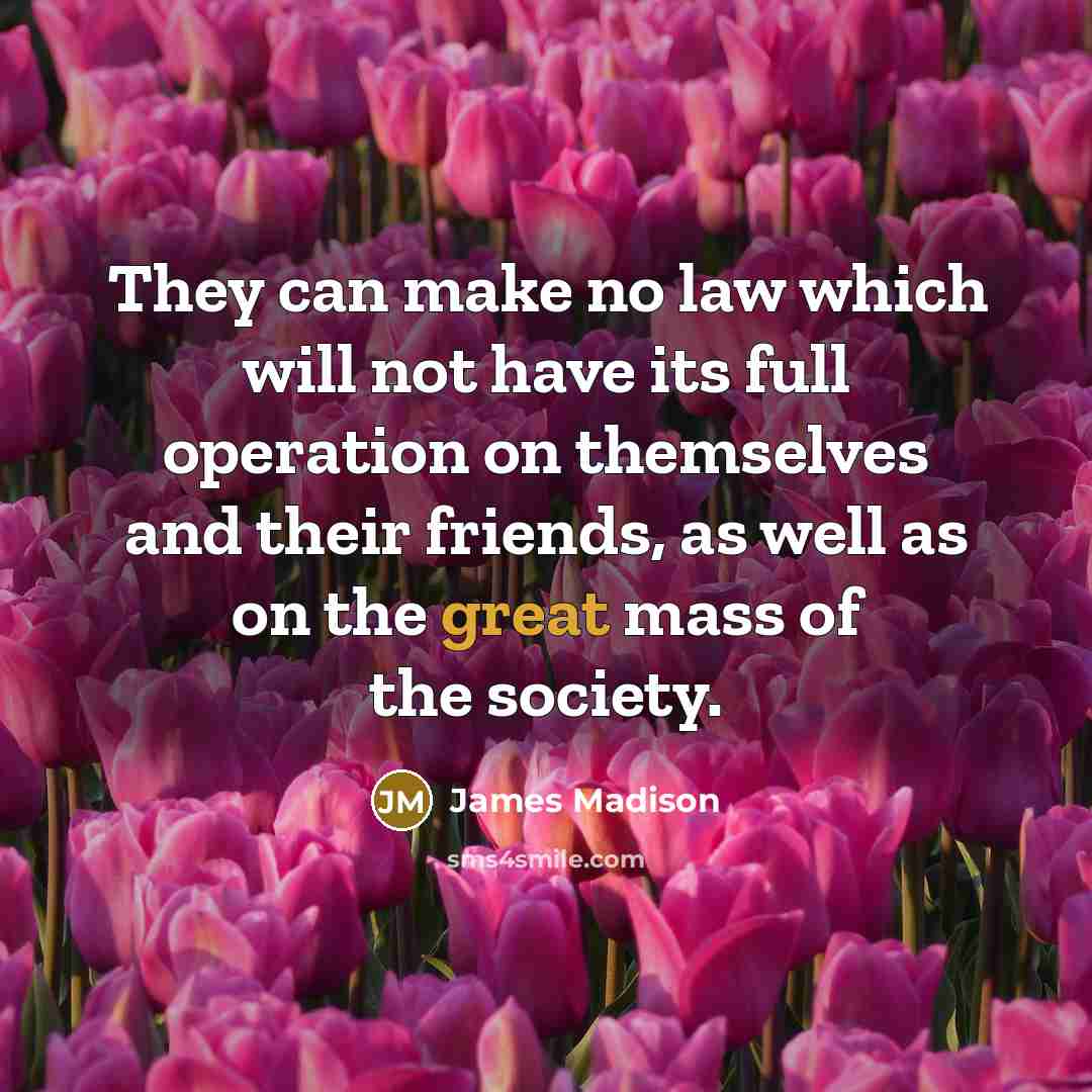 “They can make no law which will not have its…” quote by James Madison