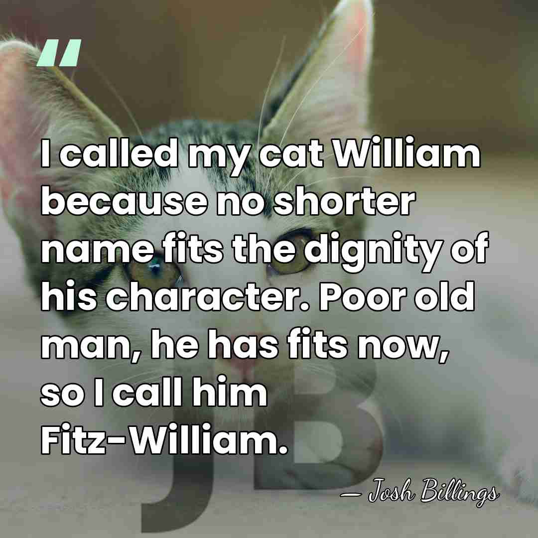 I called my cat William because no shorter name fits the dignity&hellip; - Josh Billings