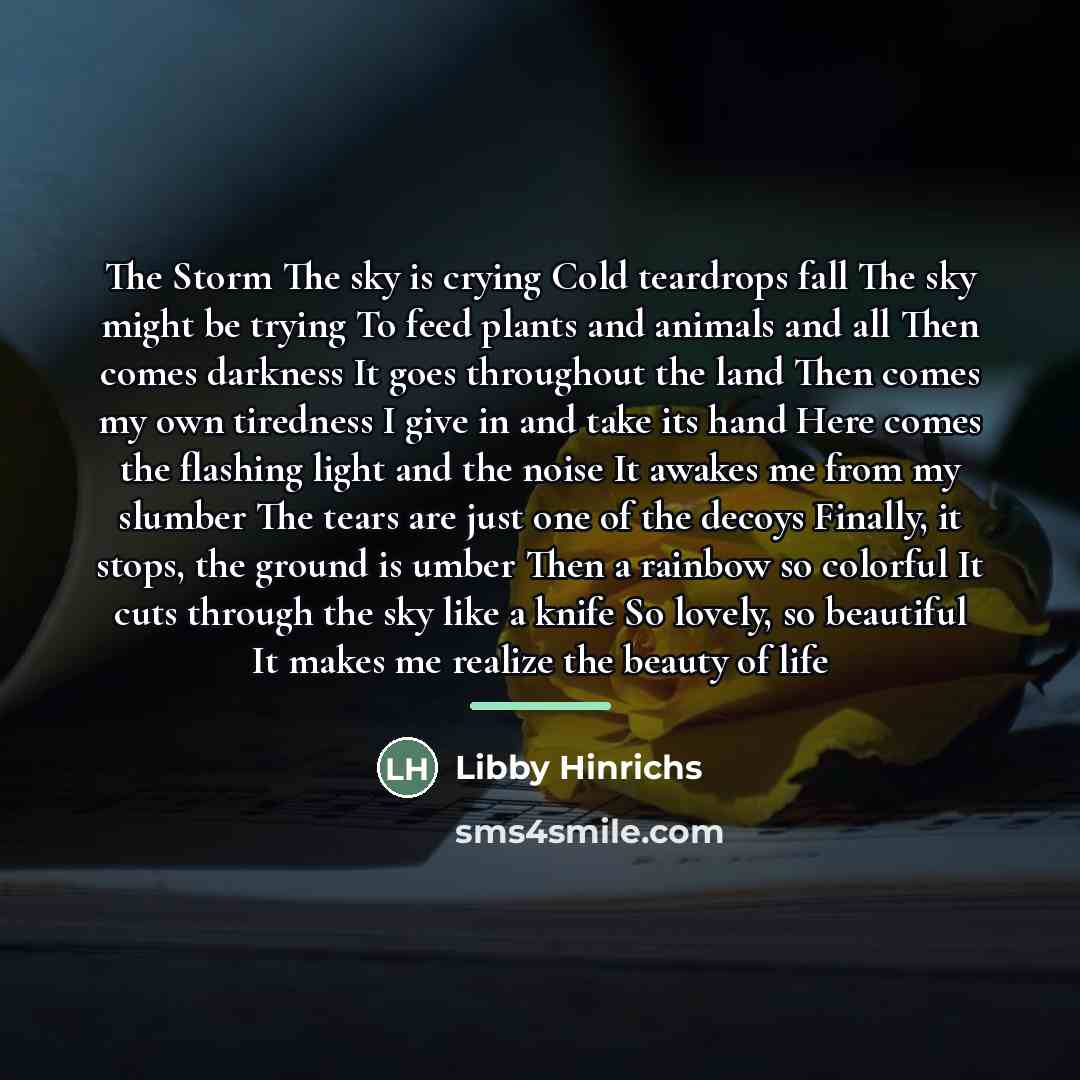 “The Storm The sky is crying Cold teardrops fall The…” quote by Libby Hinrichs