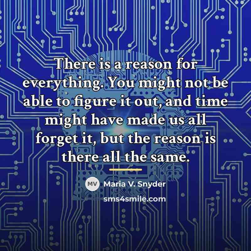 “There is a reason for everything. You might not be…” quote by Maria V. Snyder