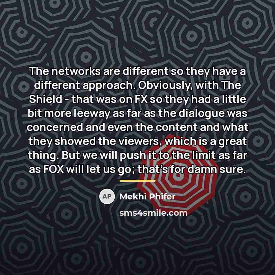 “The networks are different so they have a different approach.…” quote by Mekhi Phifer