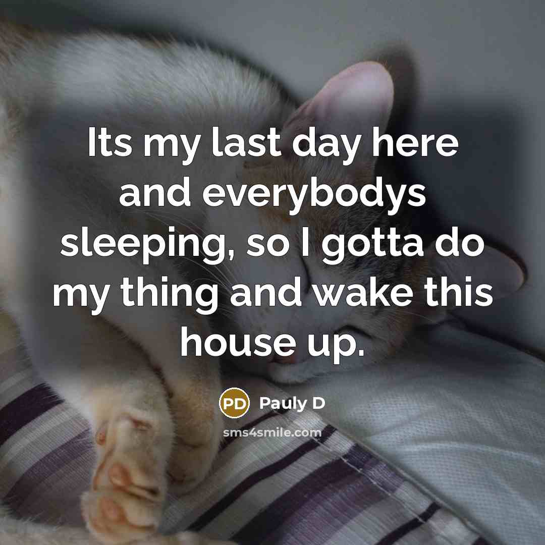 “Its my last day here and everybodys sleeping, so I…” quote by Pauly D