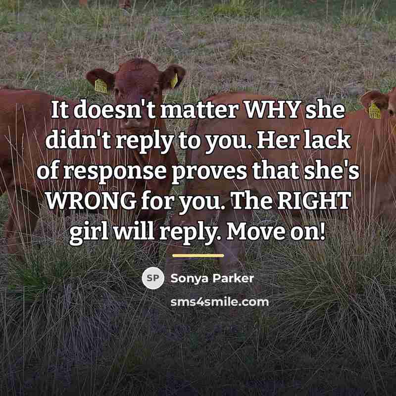 “It doesn't matter WHY she didn't reply to you. Her…” quote by Sonya Parker