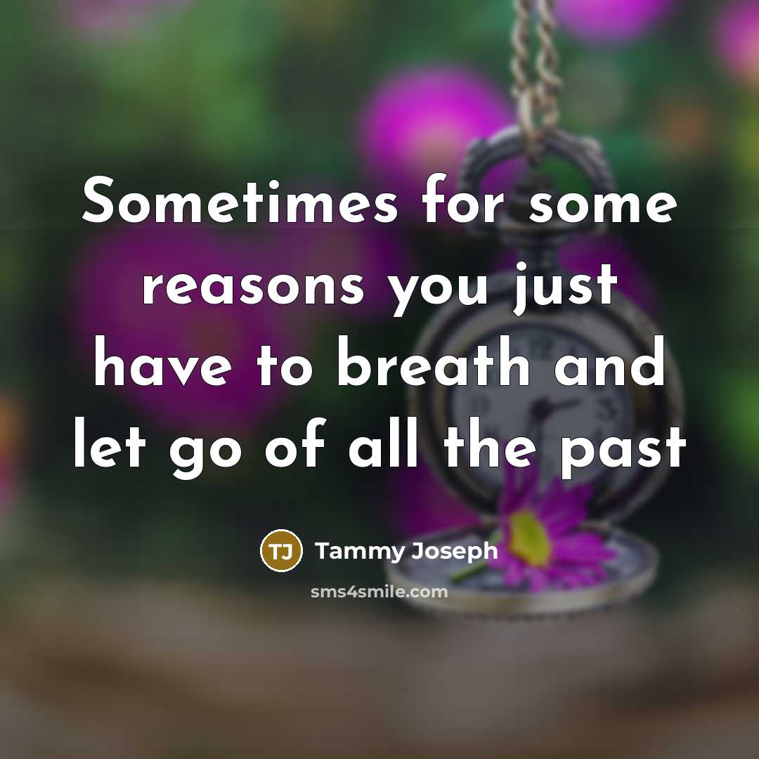 “Sometimes for some reasons you just have to breath and let go of all the past” quote by Tammy Joseph
