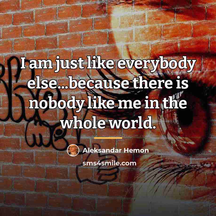 “I am just like everybody else...because there is nobody like…” quote by Aleksandar Hemon