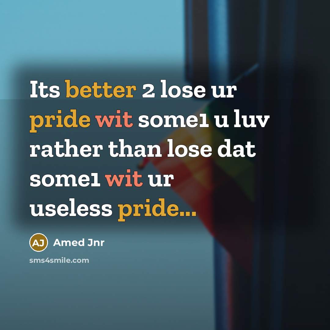 “Its better 2 lose ur pride wit some1 u luv rather than lose dat some1 wit ur useless pride...” quote by Amed Jnr