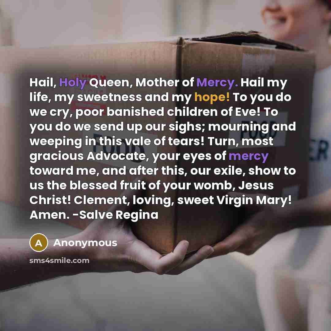 “Hail, Holy Queen, Mother of Mercy. Hail my life, my…” quote by Anonymous