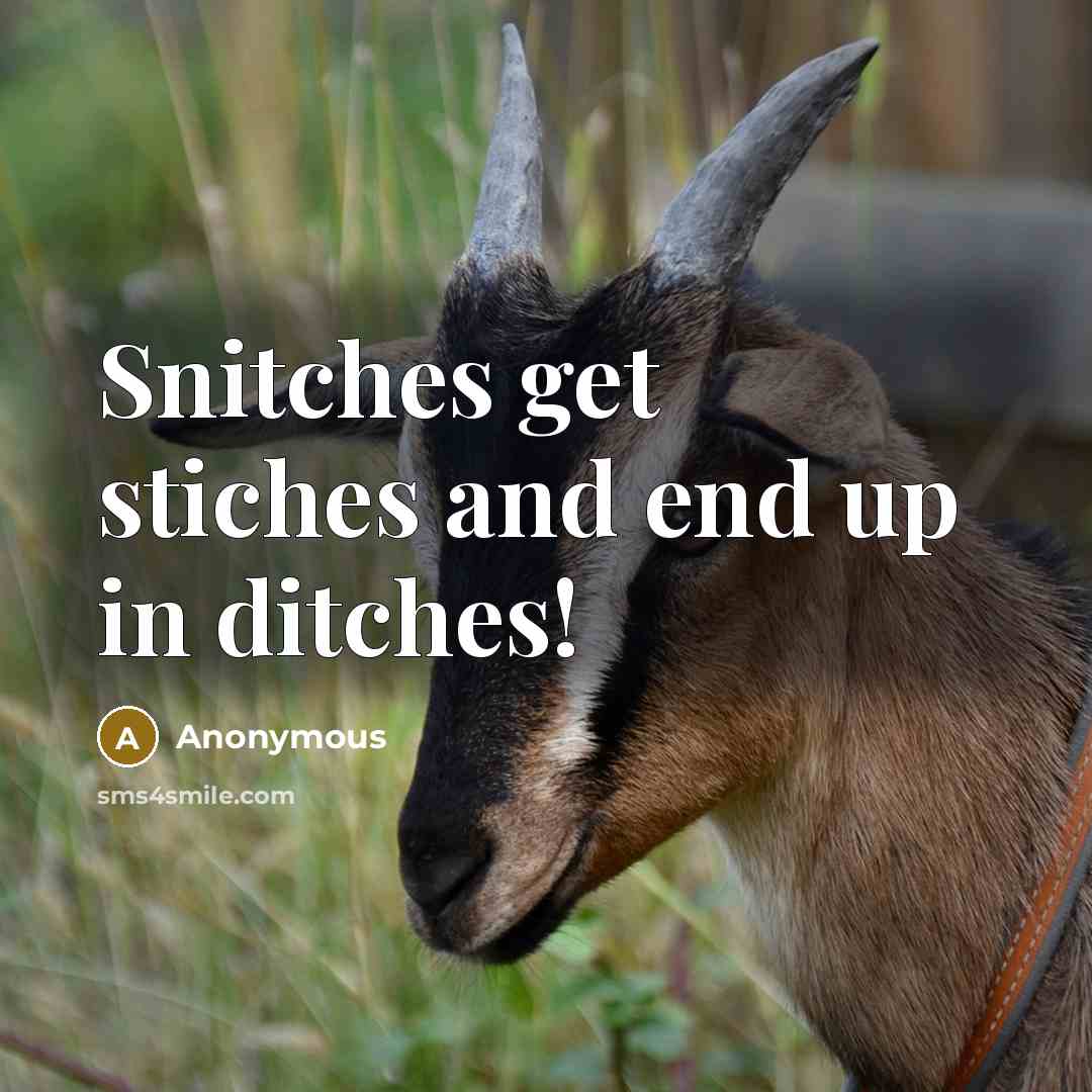 “Snitches get stiches and end up in ditches!” quote by Anonymous