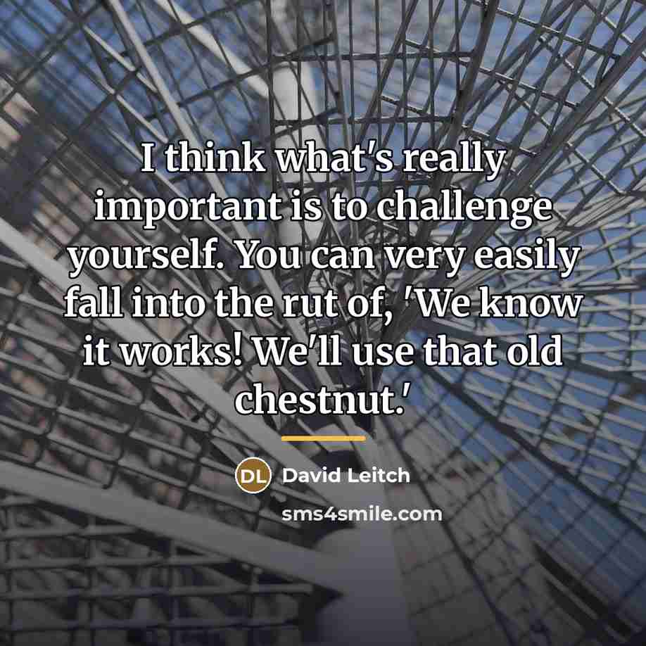 “I think what's really important is to challenge yourself. You…” quote by David Leitch