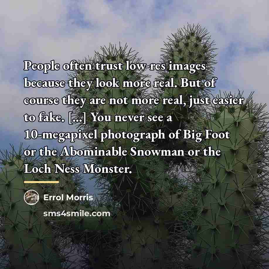 “People often trust low-res images because they look more real.…” quote by Errol Morris