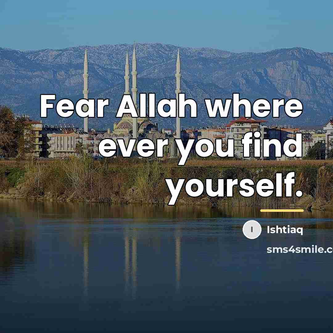 “Fear Allah where ever you find yourself.…” quote by Anonymous