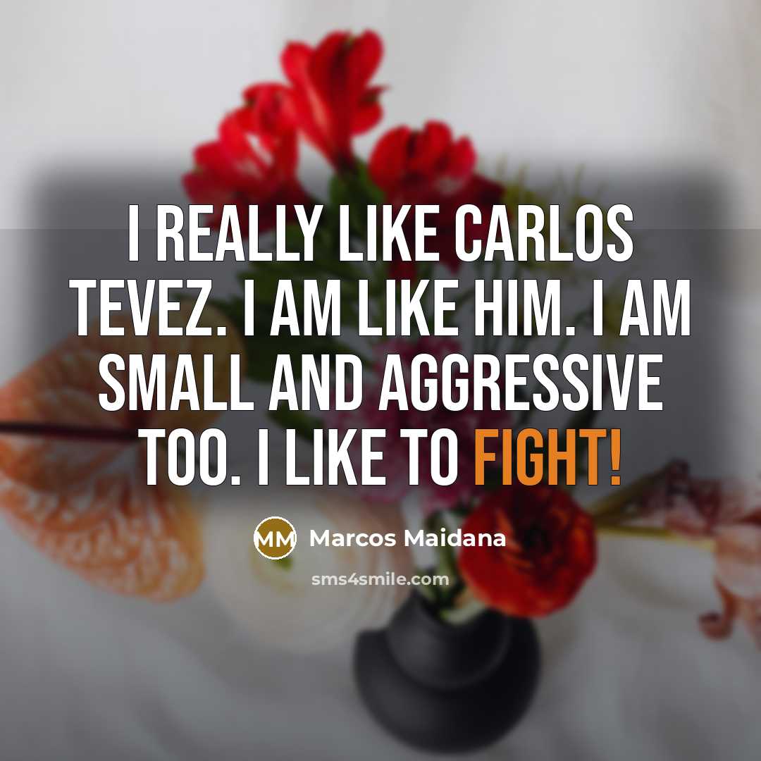 “I really like Carlos Tevez. I am like him. I…” quote by Marcos Maidana