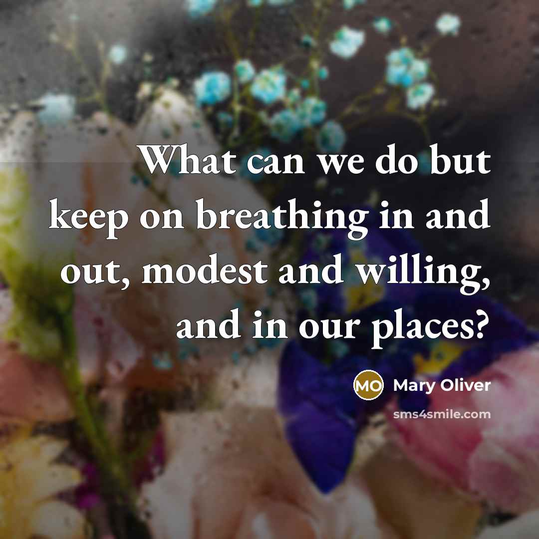 “What can we do but keep on breathing in and out, modest and willing, and in our places?” quote by Mary Oliver