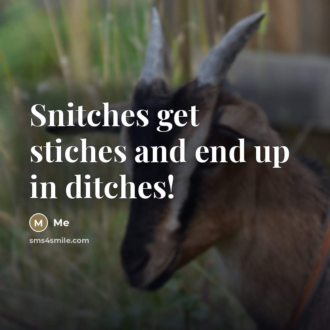 “Snitches get stiches and end up in ditches!…” quote by Me