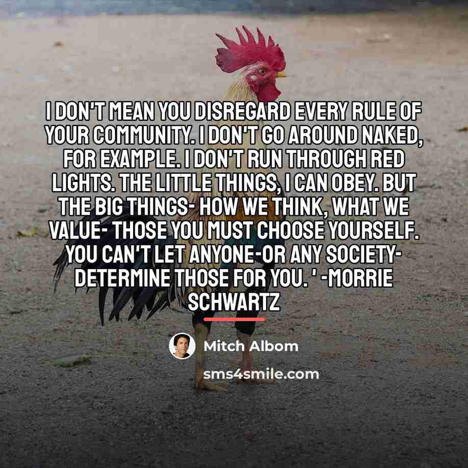 “I don't mean you disregard every rule of your community.…” quote by Mitch Albom