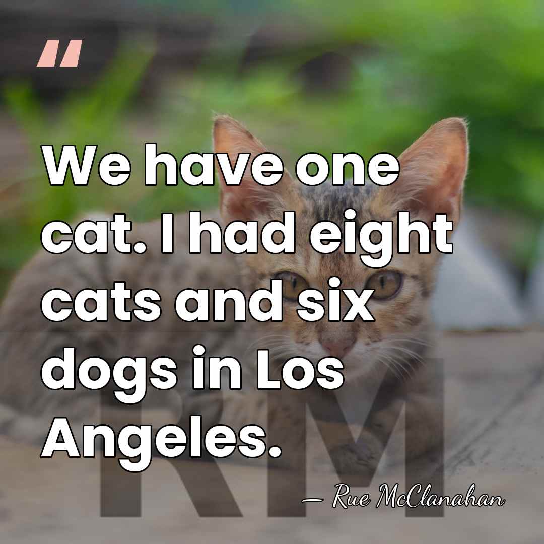 We have one cat. I had eight cats and six dogs in&hellip; - Rue McClanahan